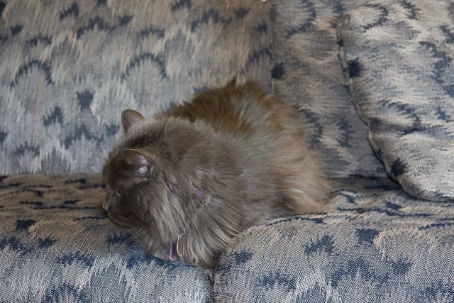 Grace_2008-07-10_IMG_0140